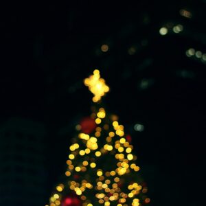 Bright Nights Surrey 2025: A Holiday tradition moves to Cloverdale