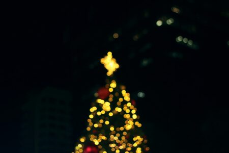 honey fangs 3ea699dfrs8 unsplash