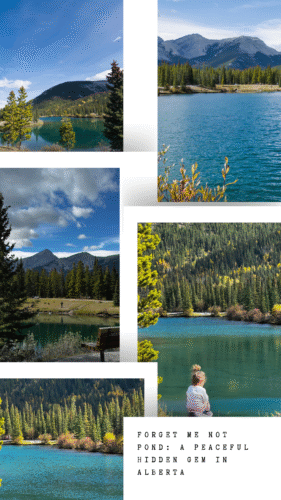 minimalist aesthetic lifestyle moodboard inspiration photo collage instagram story