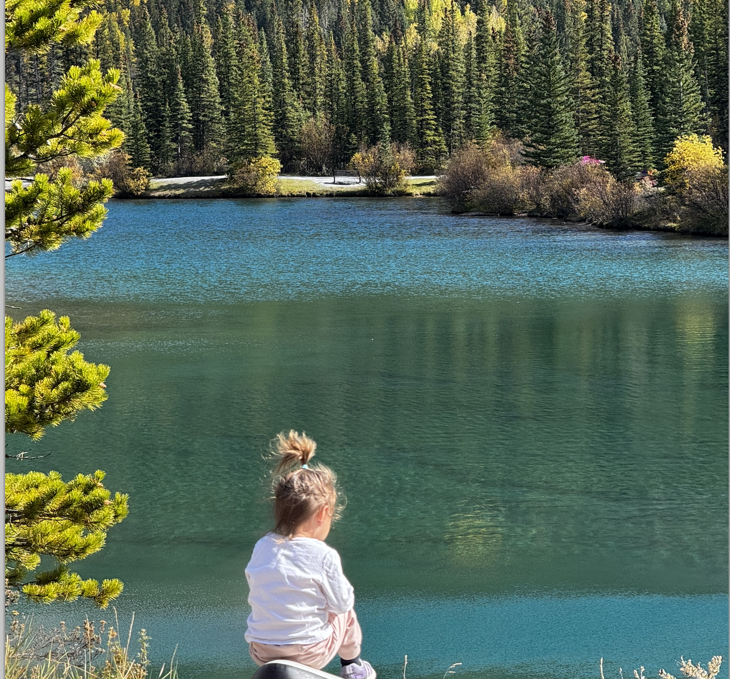 Forget Me Not Pond: A Peaceful Hidden Gem in Alberta